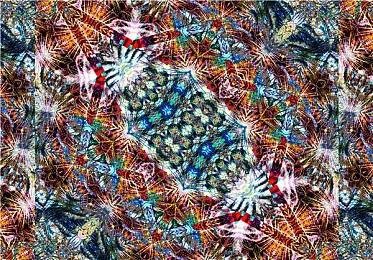 魔物养成动作游戏《魔农传记》现已发售